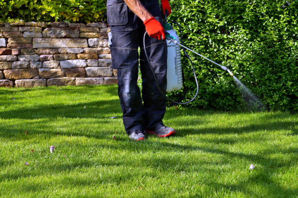 Best Residential Pest Control  in Point Pleasant Beach, NJ